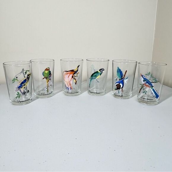 VTG 60’s Kig Malaysia Exotic Tropical Bird Glasses Set of 6 - Picture 1 of 14
